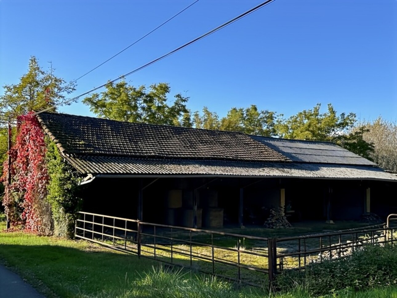 Photos 15 - Agricole - Dpt Gers (32), à vendre proche de EAUZE - Hangar agricole et bois- Terrain de 61200 m²