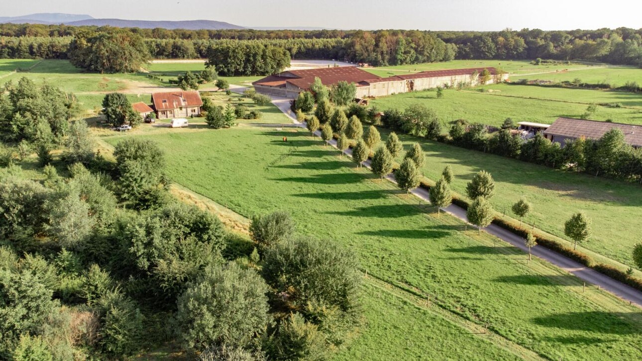 Photos 1 - Prestige - Centre équestre en lisière de forêt de DOLE