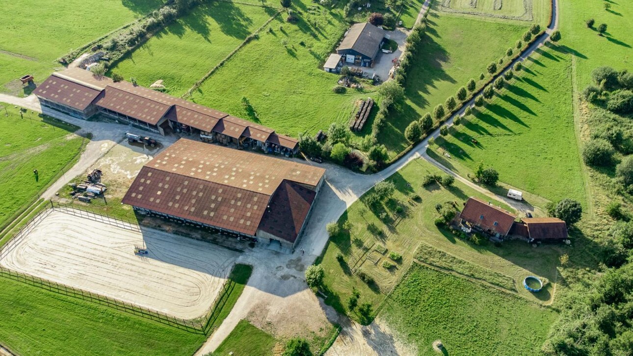 Photos 2 - Prestige - Centre équestre en lisière de forêt de DOLE