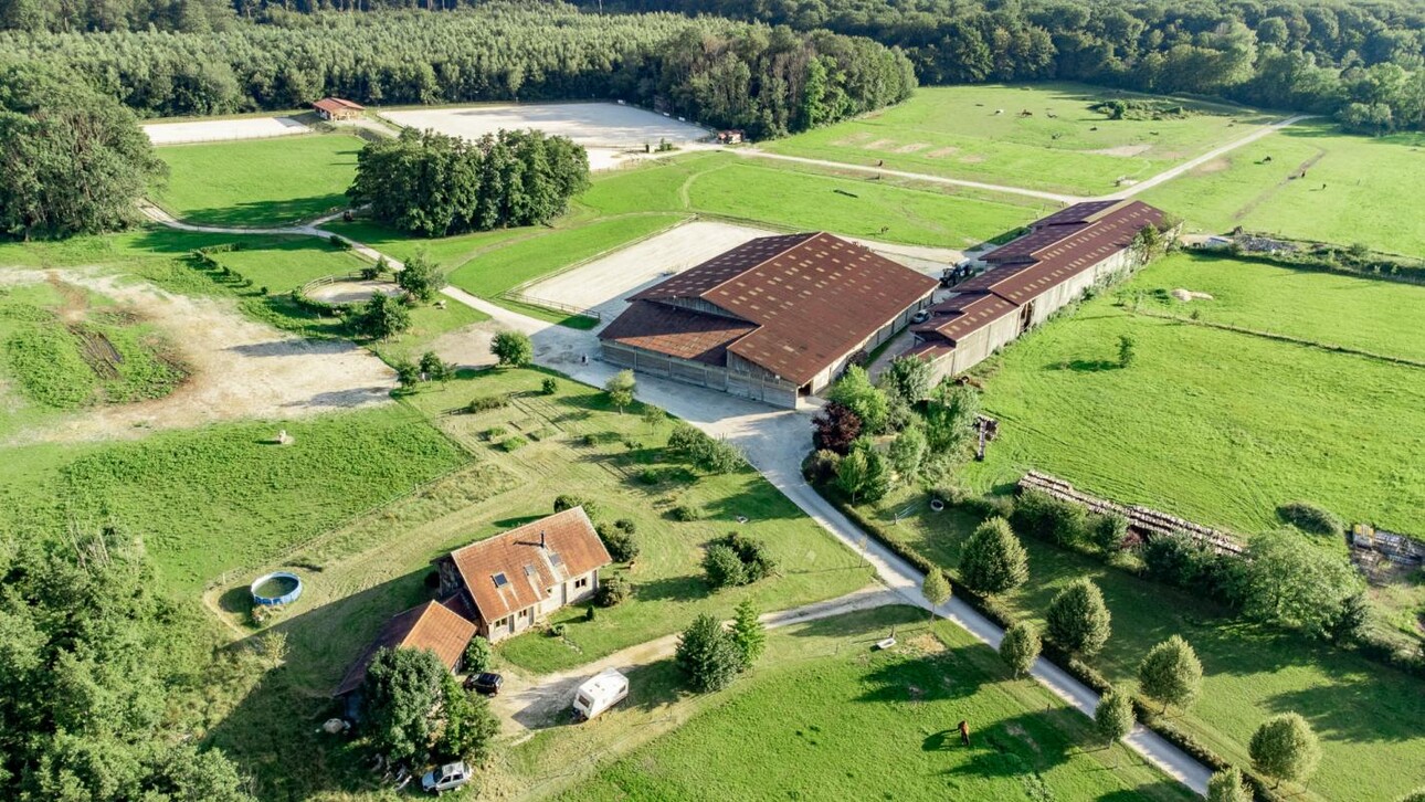 Photos 15 - Prestige - Centre équestre en lisière de forêt de DOLE