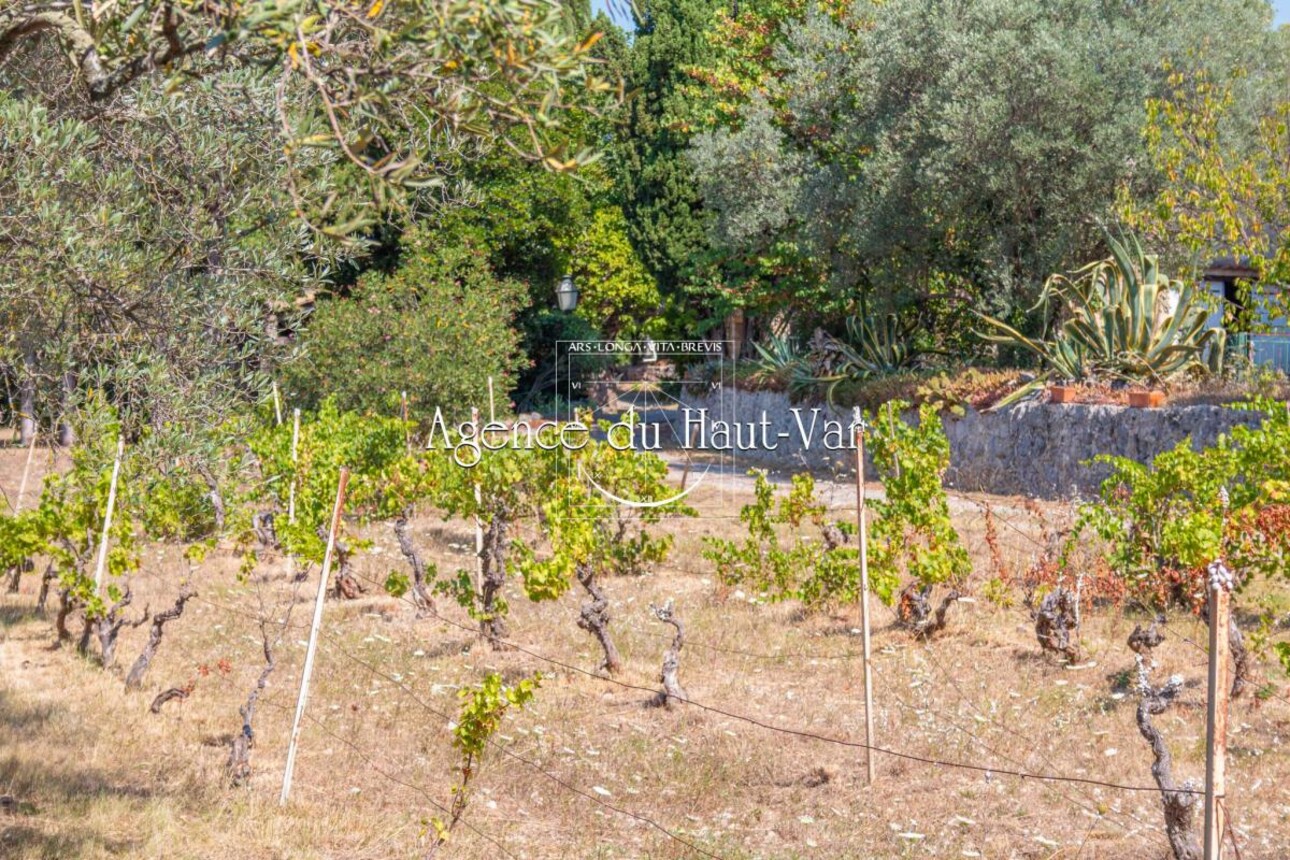 Photos 15 - Prestige - Vignes et oliviers autour d'une Bastide 17eme siècle, maison