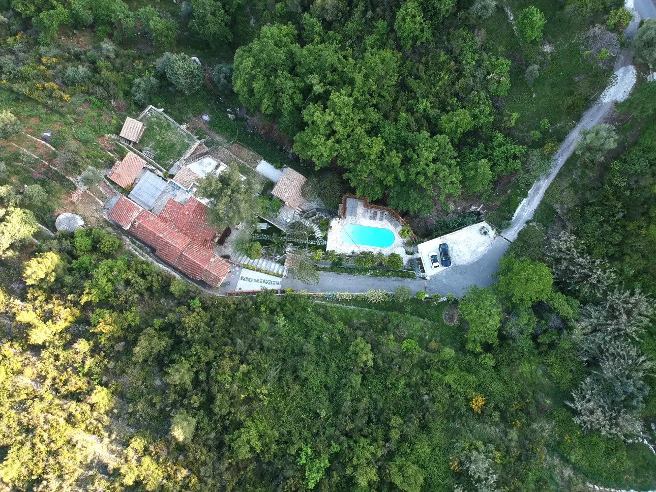 Photos 2 - Touristique - PROPRIETE PROVENCALE DE CHARME Au calme absolu, magnifique vue Mer à 15 mn du centre-ville de Nice