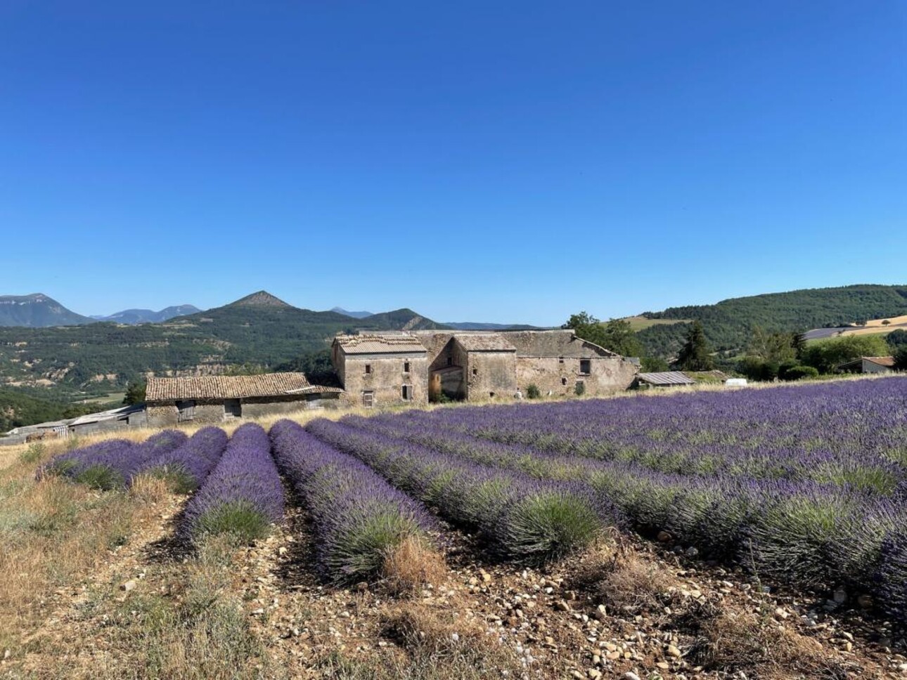 Photos 20 - Prestigious - CHATEAU DU XVII ème siècle avec un panorama exceptionnel sur