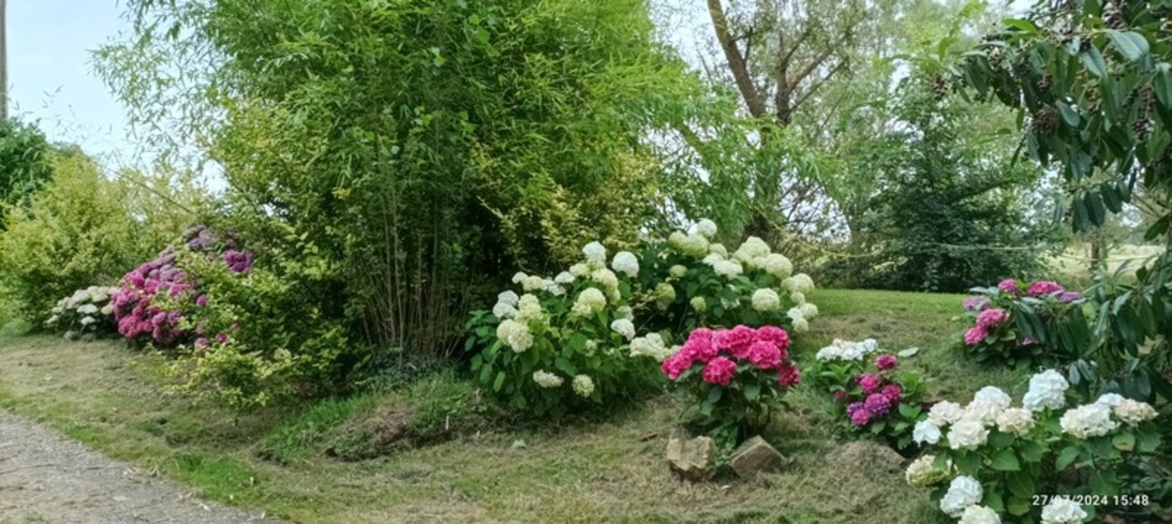 Photos 50 - Touristique - Propriete à vendre  SAINT HILAIRE ( allier)  comprenant une maison et un gite sur un parc de 23433 m2