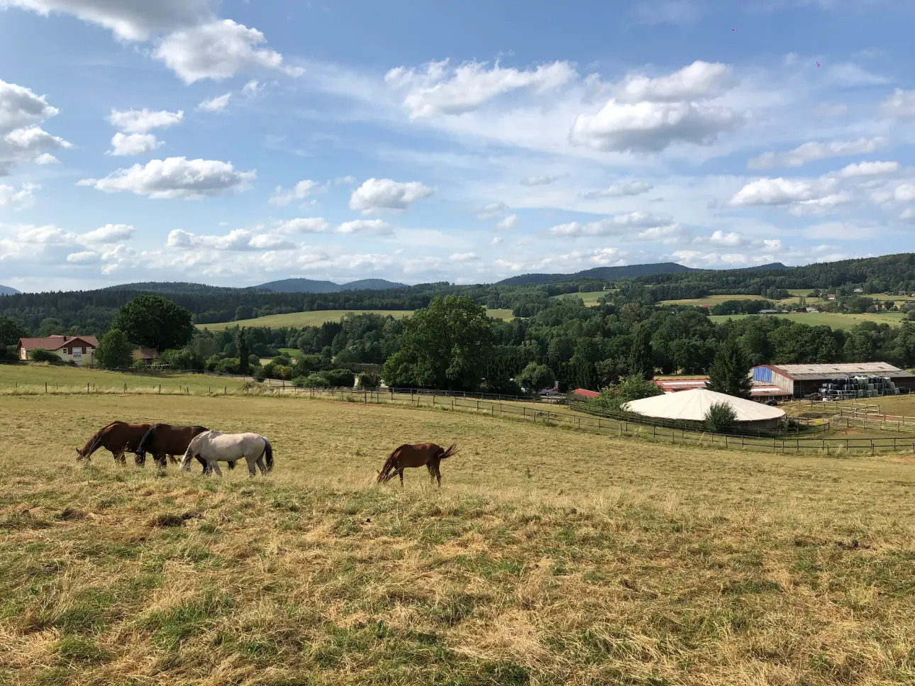 Photos 1 - Equestrian - Domaine équestre d'exception