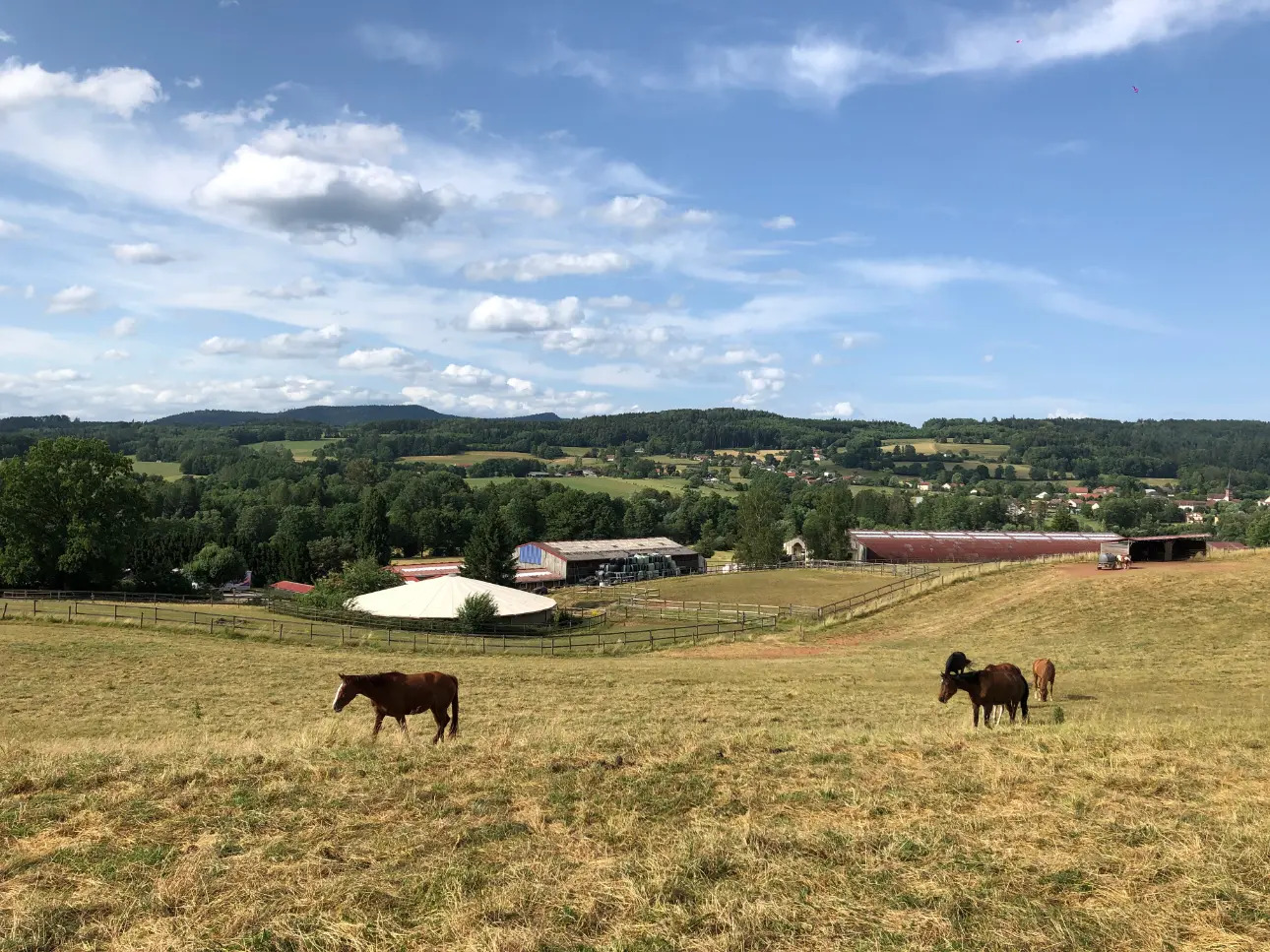 Photos 2 - Équestre - Domaine équestre d'exception