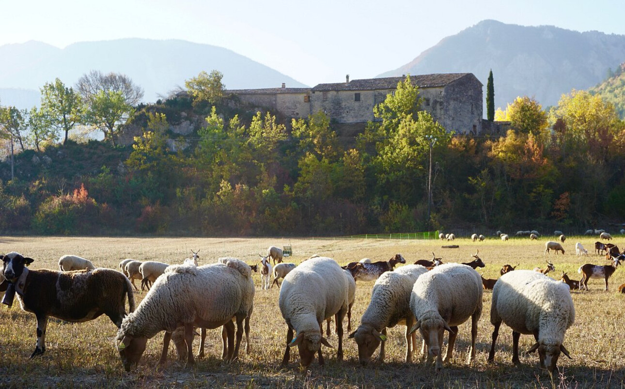 Photos 6 - Touristique - Propriété avec vue  panoramique