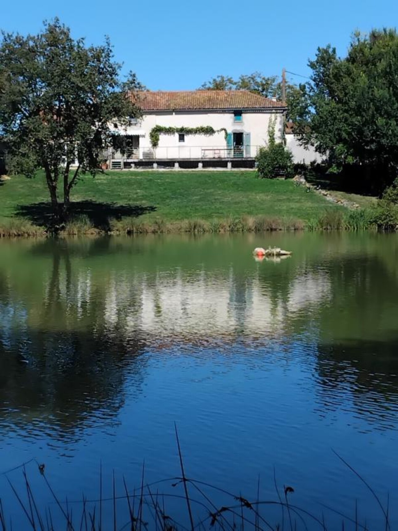 Photos 1 - Forestière - PROPRIETE EXCEPTIONNELLE AVEC  ETANG DE PECHE 5HA ET 2 MAISO