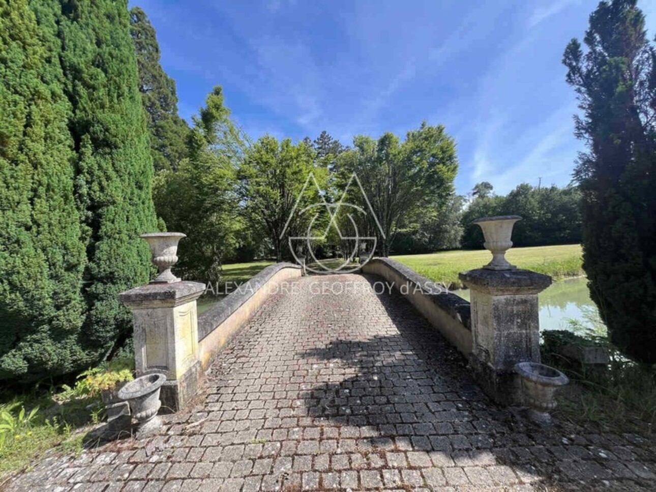 Photos 6 - Prestigious - Superbe château du XVI -ème a 25 min de Tours sur 15 ha avec de nombreuses dépendances