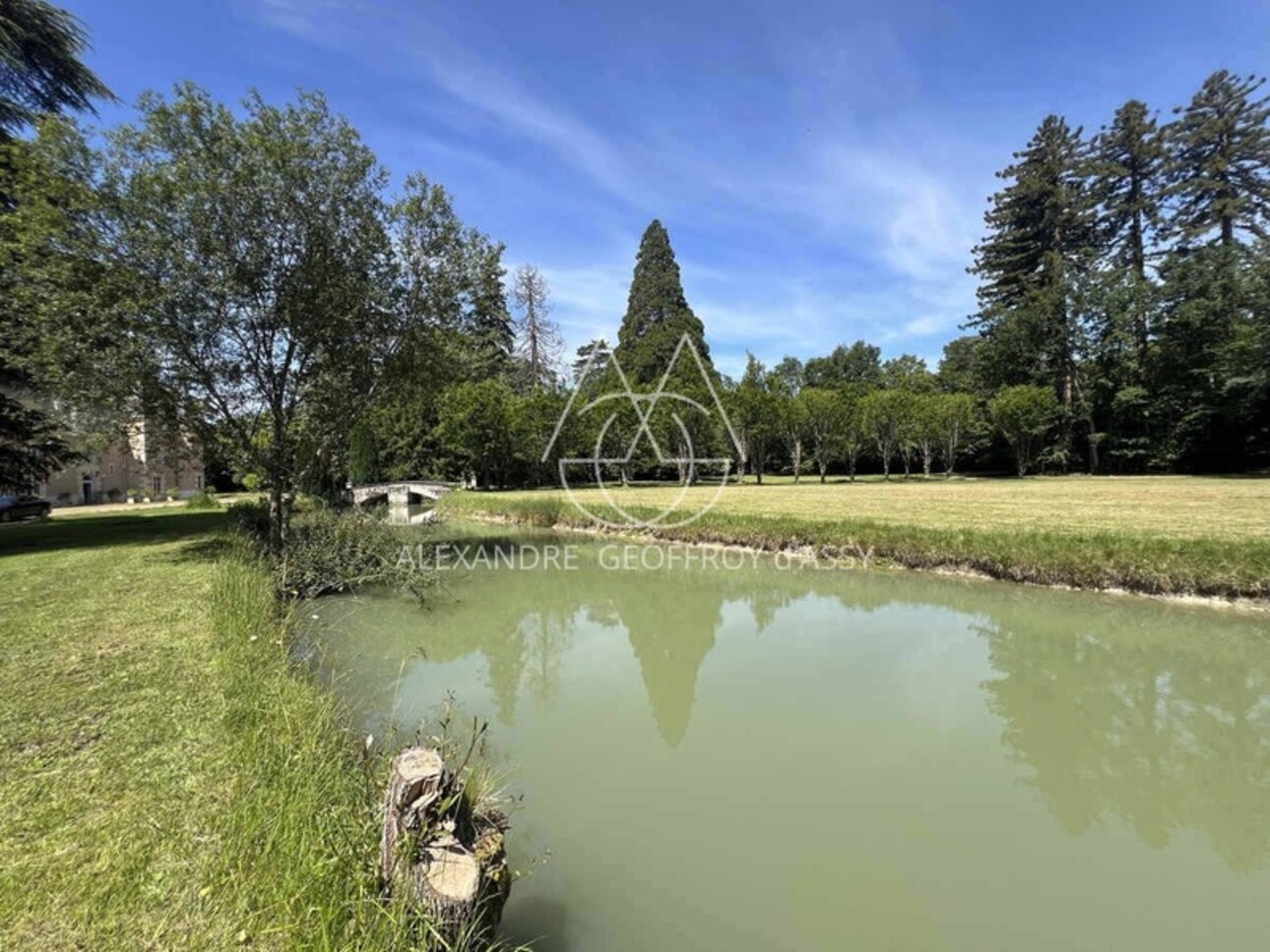 Photos 21 - Prestige - Superbe château du XVI -ème a 25 min de Tours sur 15 ha avec de nombreuses dépendances