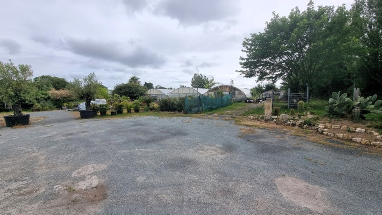 Photos 1 - Agricole - Fonds de commerce à vendre SAINT DENIS D'OLERON (17)