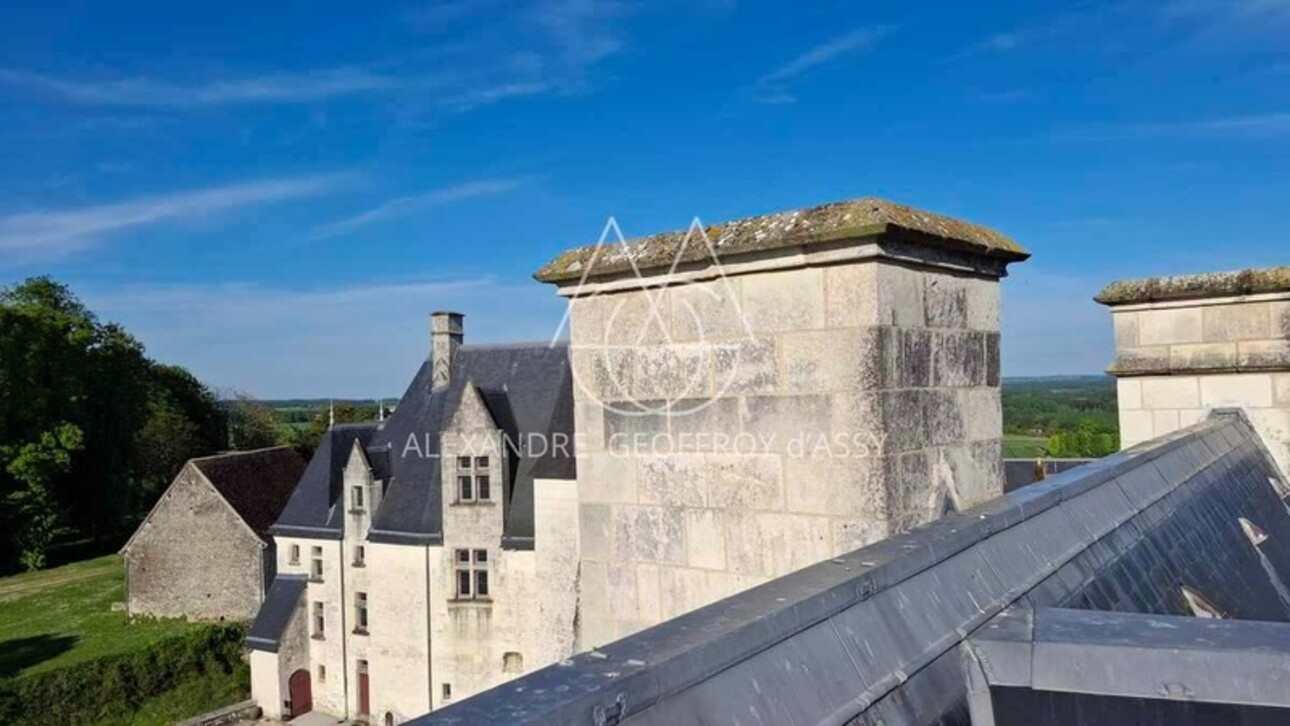 Photos 3 - Prestige - Château millénaire 16 pièces surplombant un village sur un parc de 15 ha