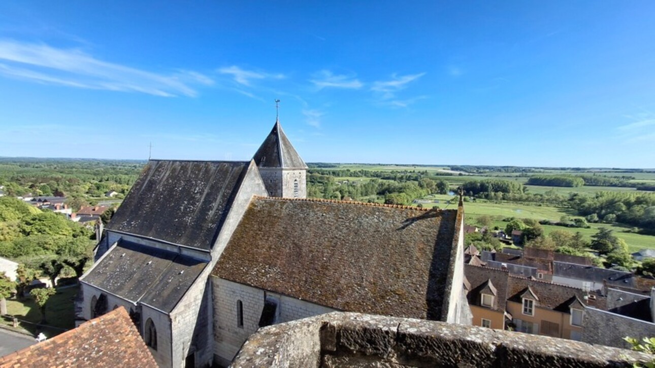 Photos 4 - Prestige - Château millénaire 16 pièces surplombant un village sur un parc de 15 ha