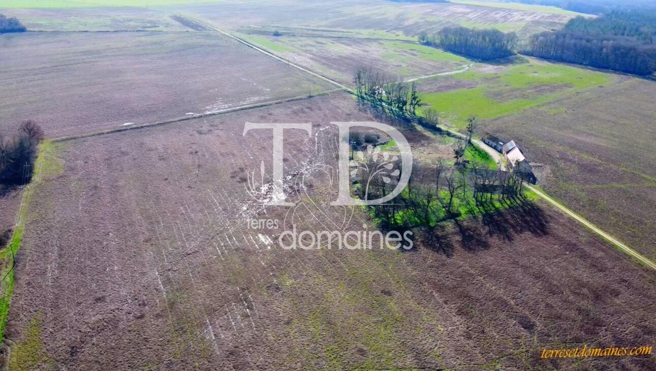 Photos 2 - Forestière - Belle propriété agricole et de loisirs sur 236 hectares