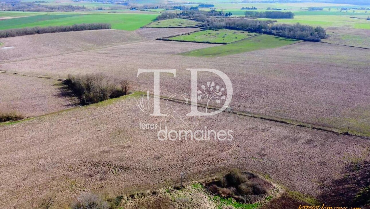 Photos 3 - Forestière - Belle propriété agricole et de loisirs sur 236 hectares