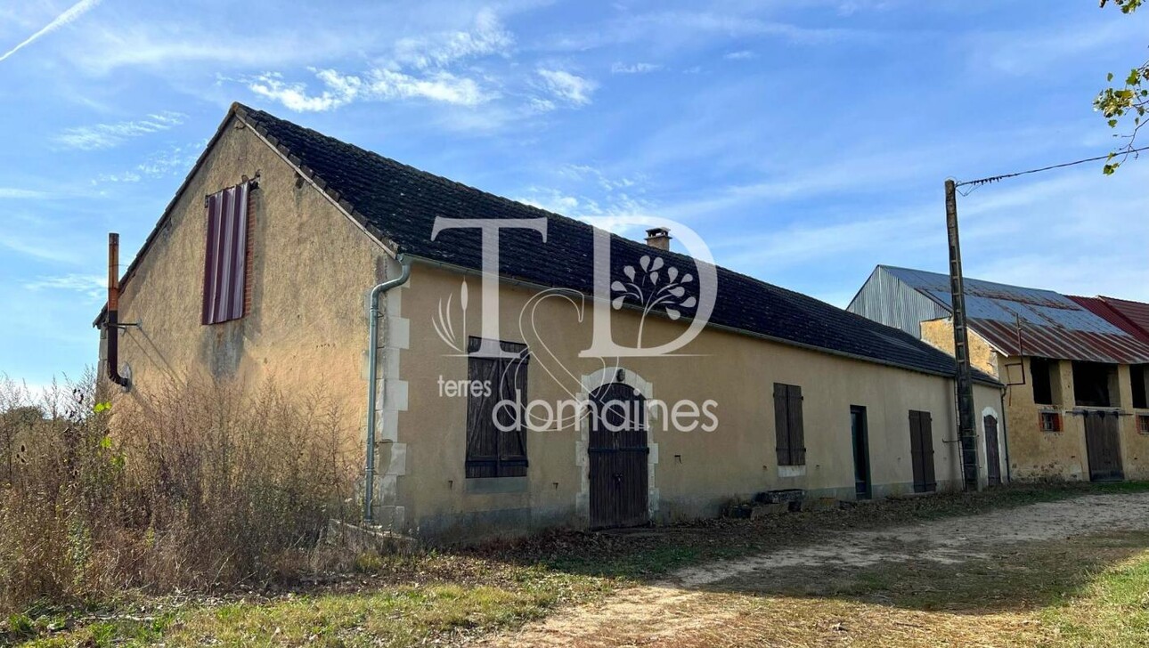 Photos 4 - Forestière - Belle propriété agricole et de loisirs sur 236 hectares