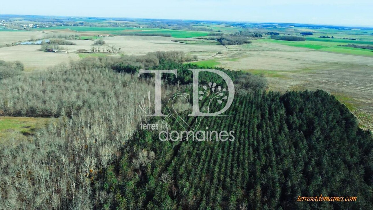 Photos 7 - Forestière - Belle propriété agricole et de loisirs sur 236 hectares