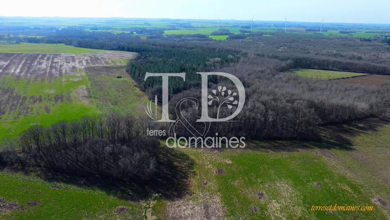 Photos 8 - Forestière - Belle propriété agricole et de loisirs sur 236 hectares