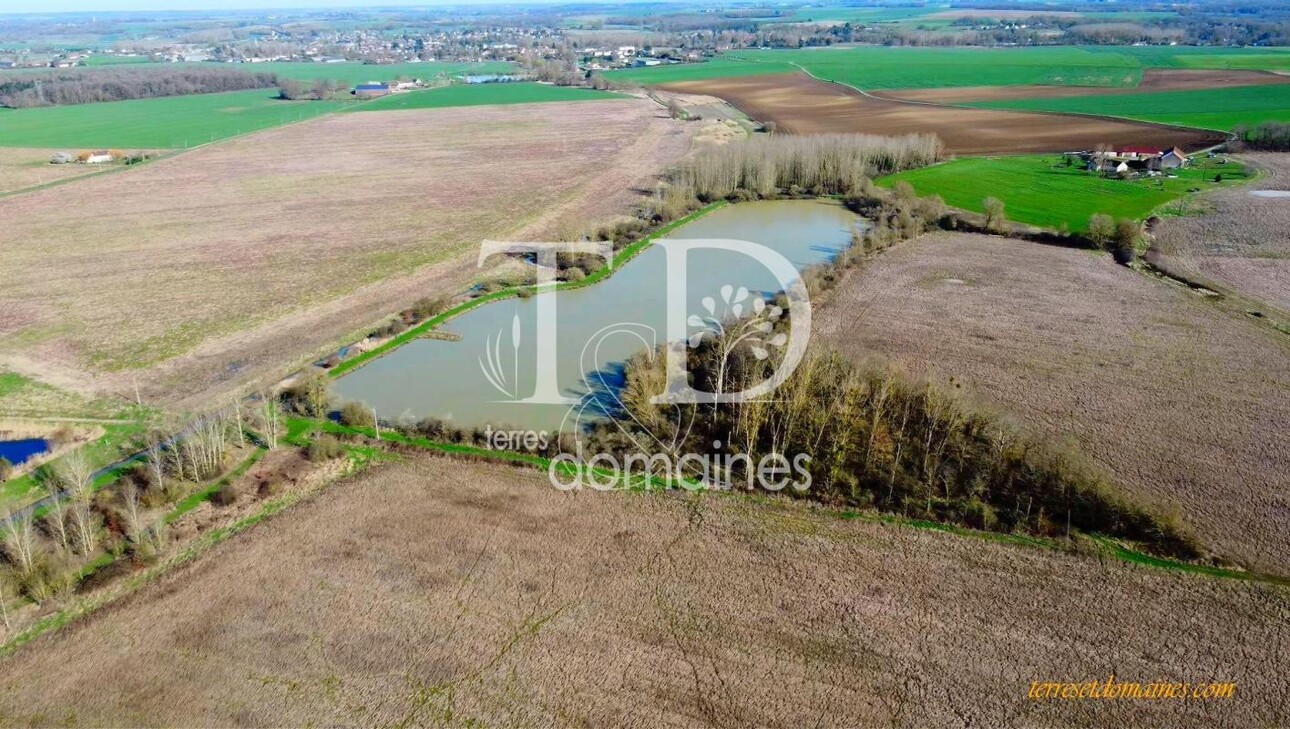 Photos 9 - Forestière - Belle propriété agricole et de loisirs sur 236 hectares