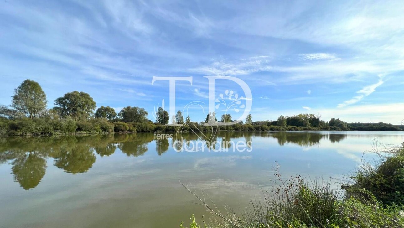 Photos 10 - Forestière - Belle propriété agricole et de loisirs sur 236 hectares