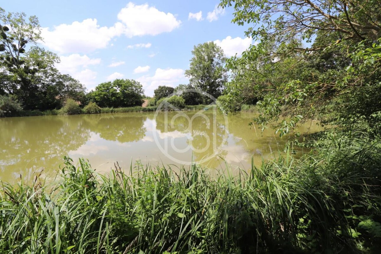 Photos 1 - Land - 1.5 ACRE POND