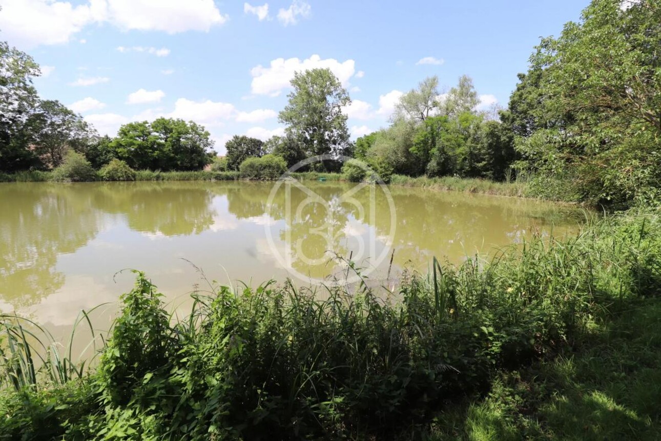 Photos 2 - Land - 1.5 ACRE POND