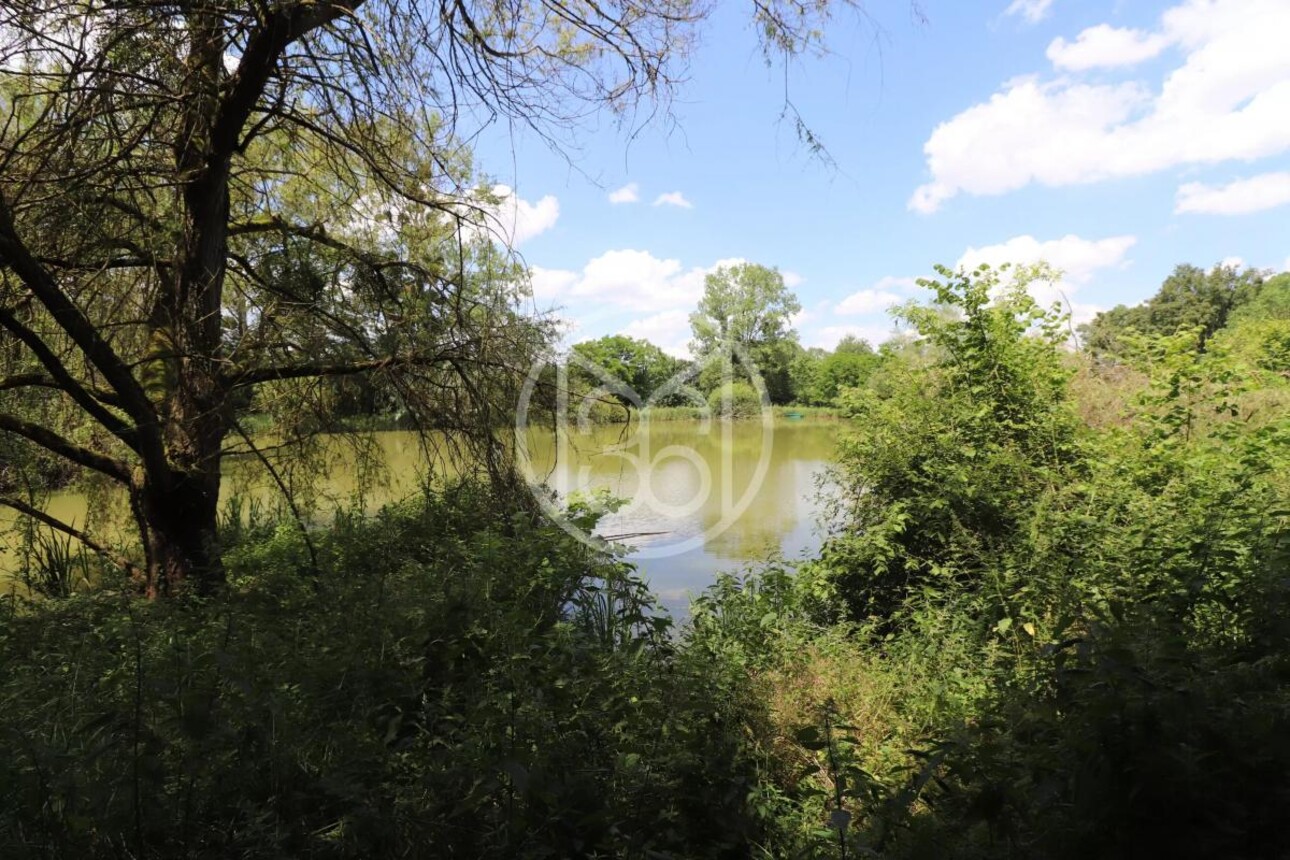 Photos 3 - Land - 1.5 ACRE POND