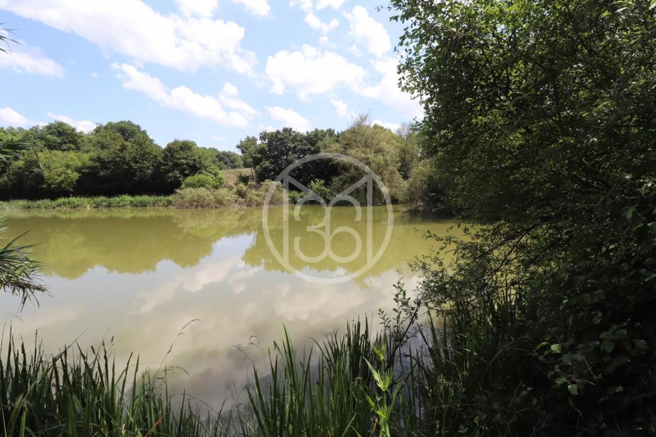 Photos 4 - Land - 1.5 ACRE POND