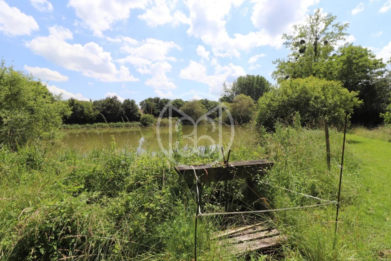 Photos 5 - Land - 1.5 ACRE POND