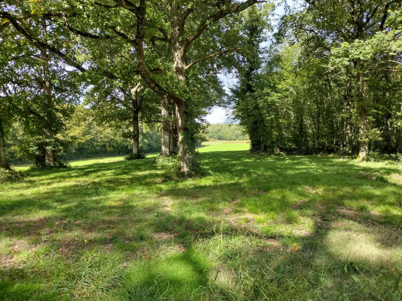 Photos 1 - Viticole - Propriété agricole  traditionnelle au carrefour de 3 départements (33,24,47)