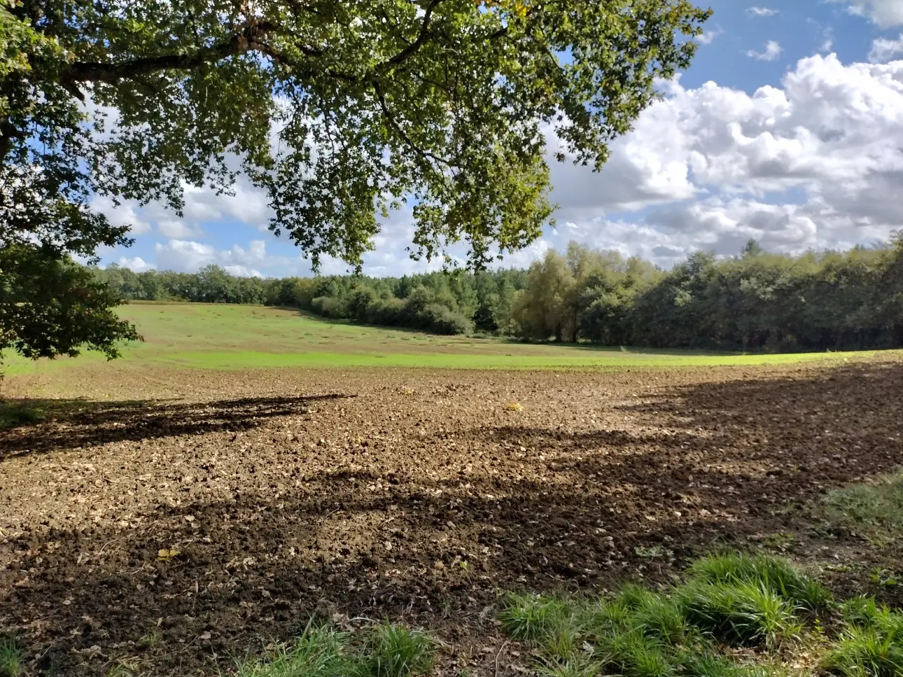 Photos 2 - Viticole - Propriété agricole  traditionnelle au carrefour de 3 départements (33,24,47)