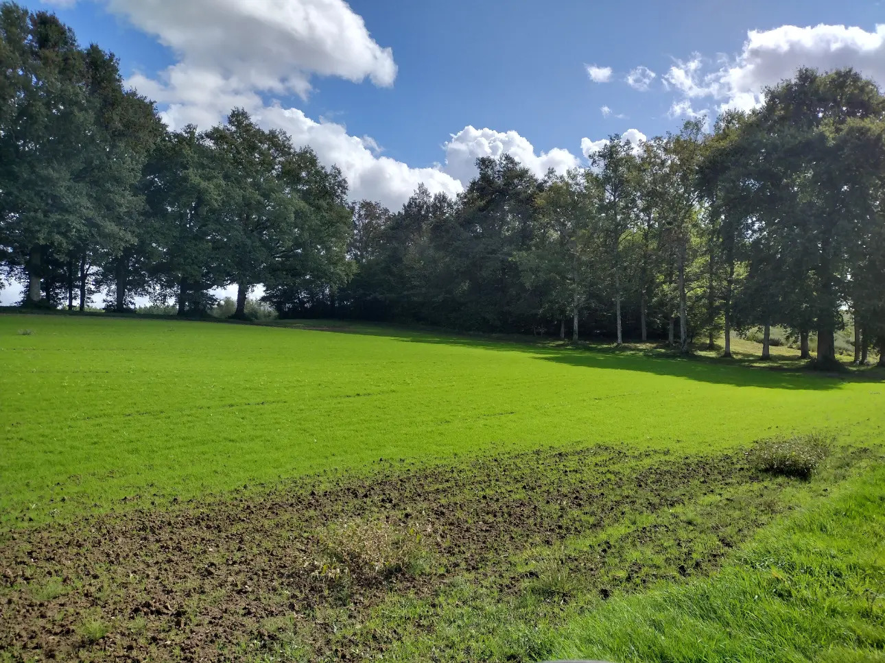 Photos 3 - Viticole - Propriété agricole  traditionnelle au carrefour de 3 départements (33,24,47)