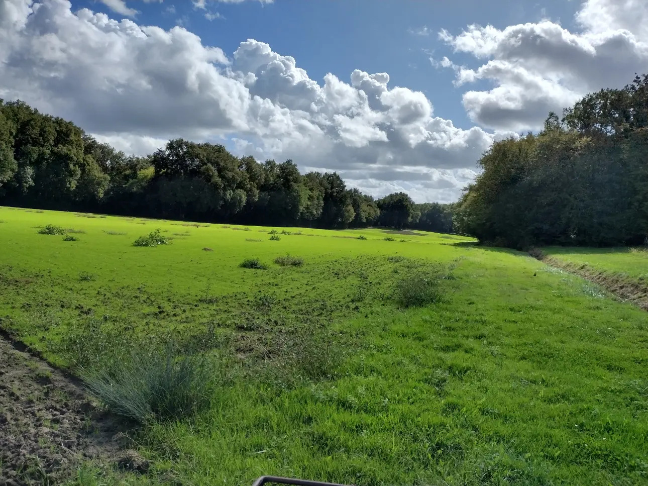 Photos 4 - Viticole - Propriété agricole  traditionnelle au carrefour de 3 départements (33,24,47)