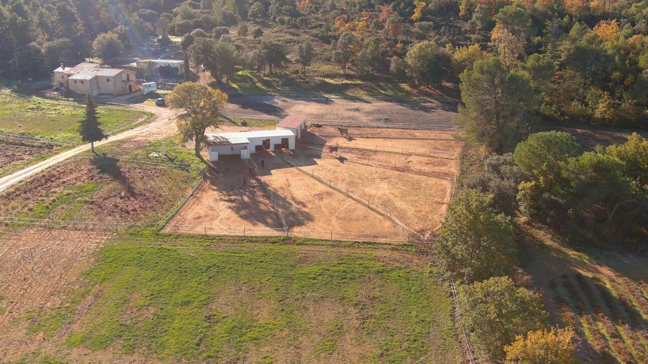 Photos 1 - Equestrian - Propriété équestre sur 7 hectares (13)