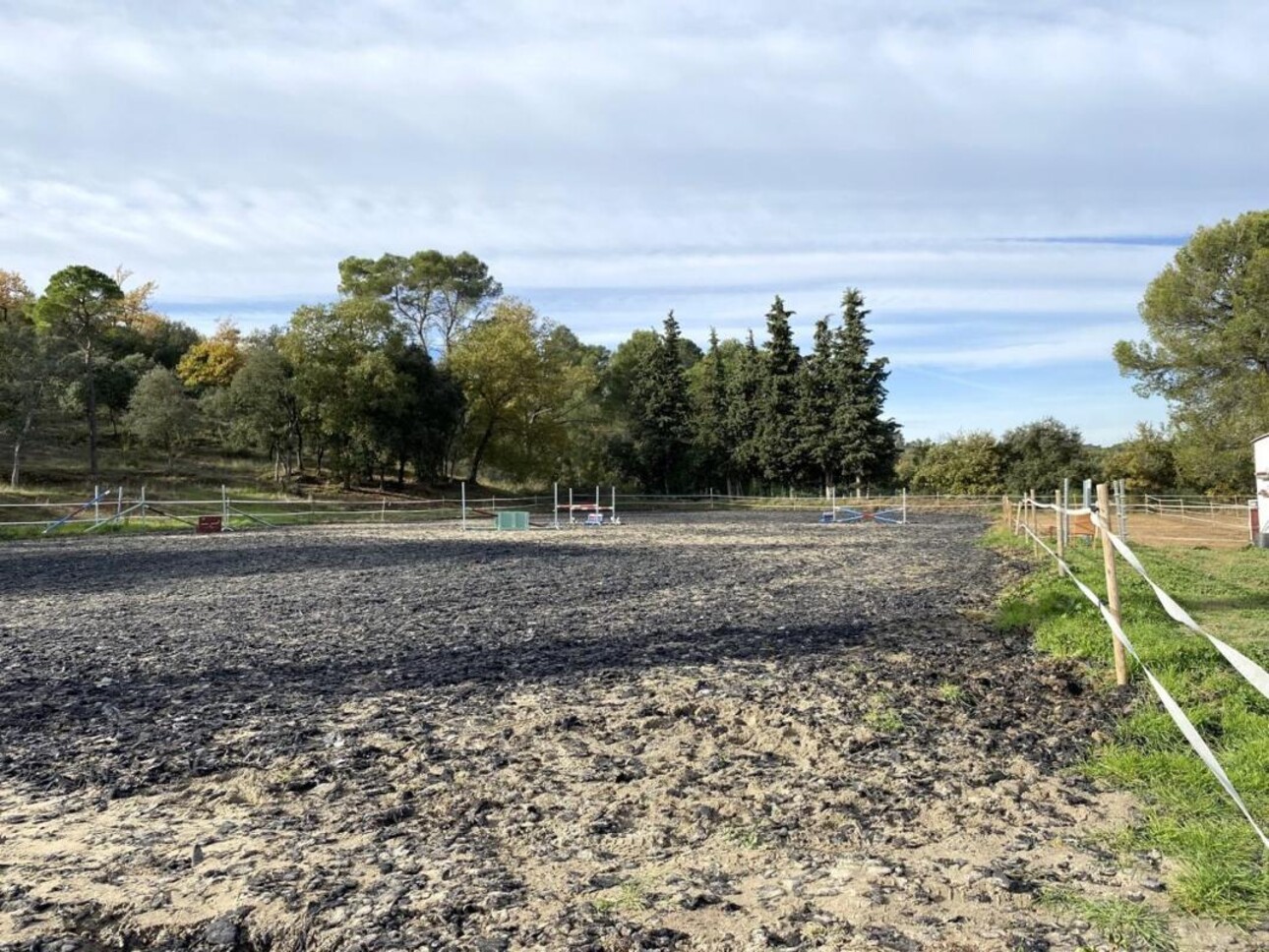 Photos 15 - Equestrian - Propriété équestre sur 7 hectares (13)