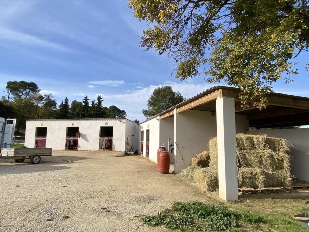 Photos 16 - Equestrian - Propriété équestre sur 7 hectares (13)