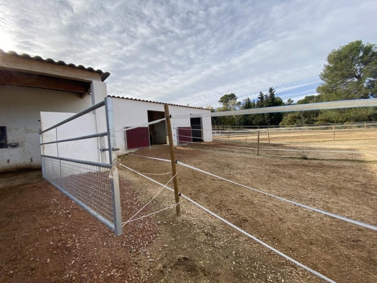 Photos 18 - Equestrian - Propriété équestre sur 7 hectares (13)