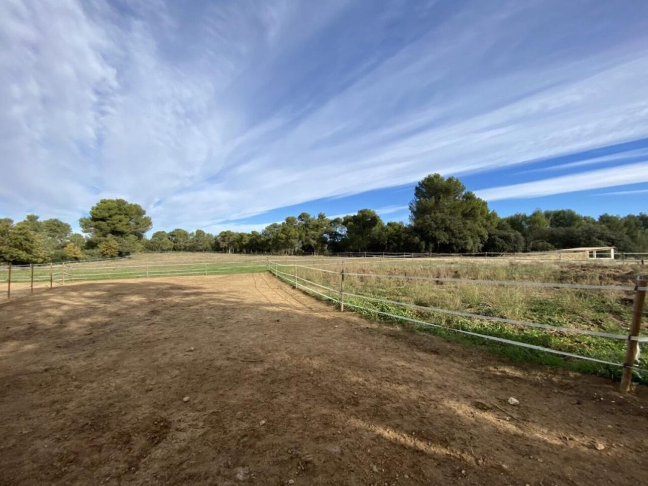 Photos 19 - Equestrian - Propriété équestre sur 7 hectares (13)