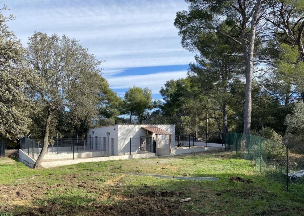 Photos 21 - Equestrian - Propriété équestre sur 7 hectares (13)