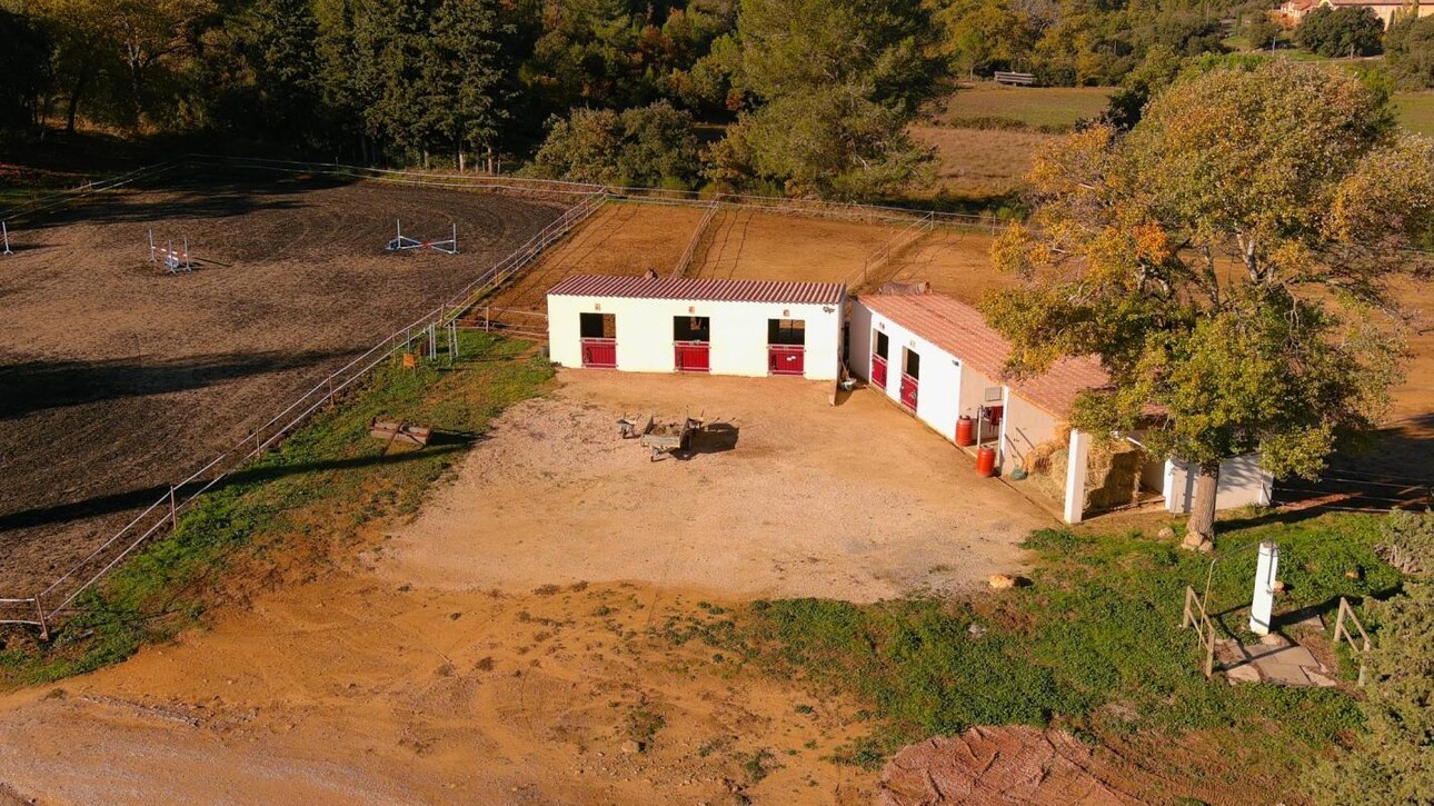 Photos 23 - Equestrian - Propriété équestre sur 7 hectares (13)