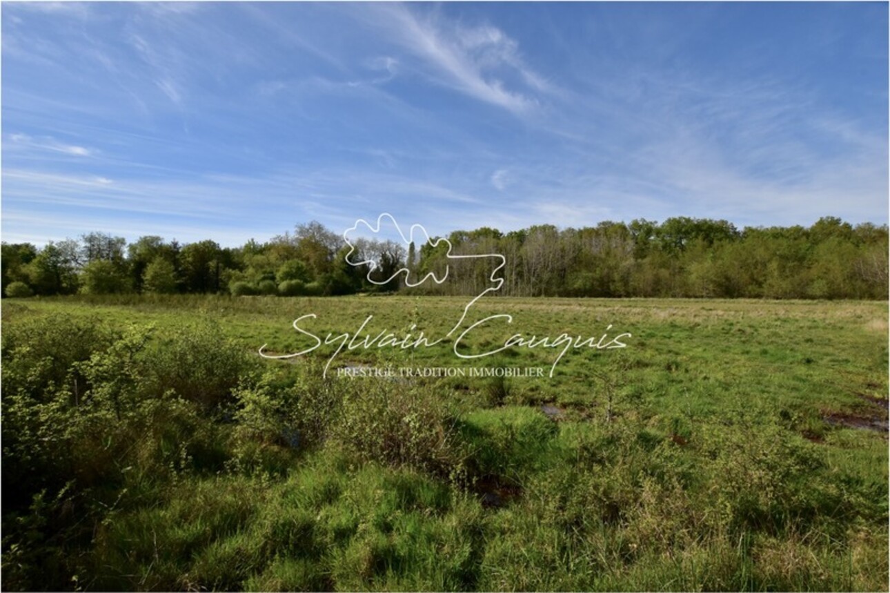 Photos 6 - Forest - Dpt Loiret (45), for sale near VANNES SUR COSSON Hunting or pleasure property - 20 ha - Longère Solo