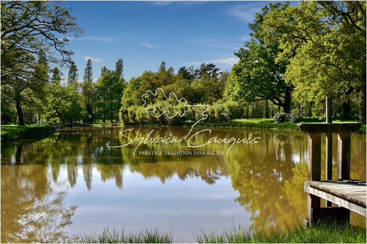 Photos 3 - Forest - Dpt Loiret (45), for sale near VANNES SUR COSSON Hunting or pleasure property - 20 ha - Longère Solo