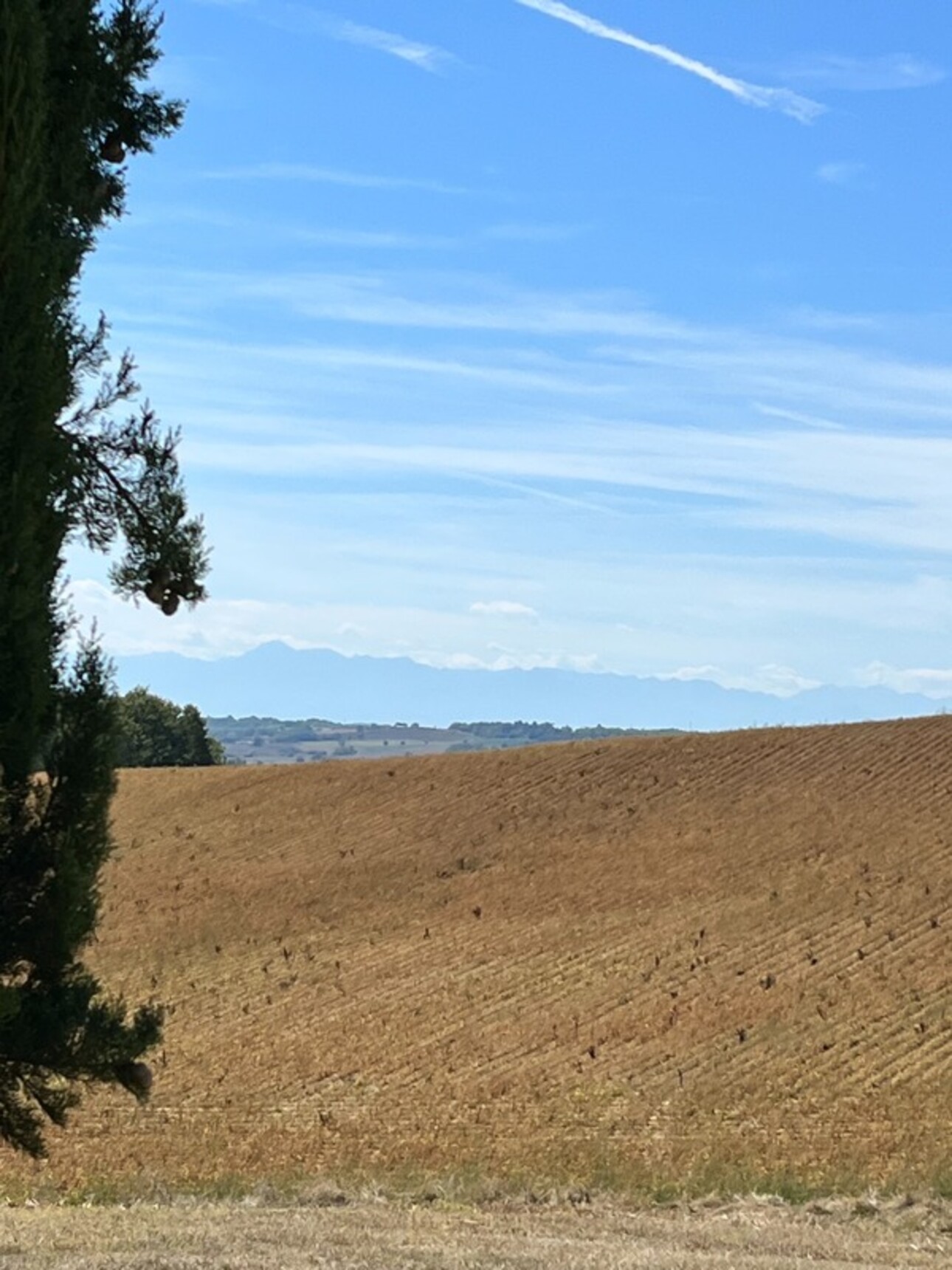 Photos 45 - Touristique - Dpt Gers (32), à vendre,MARCIAC proche,  VUE PYRENEES, BELLE PROPRIETE DE CARACTERE et de CHARME XVIIIs, dépendances, 4ha (ou plus) , piscine