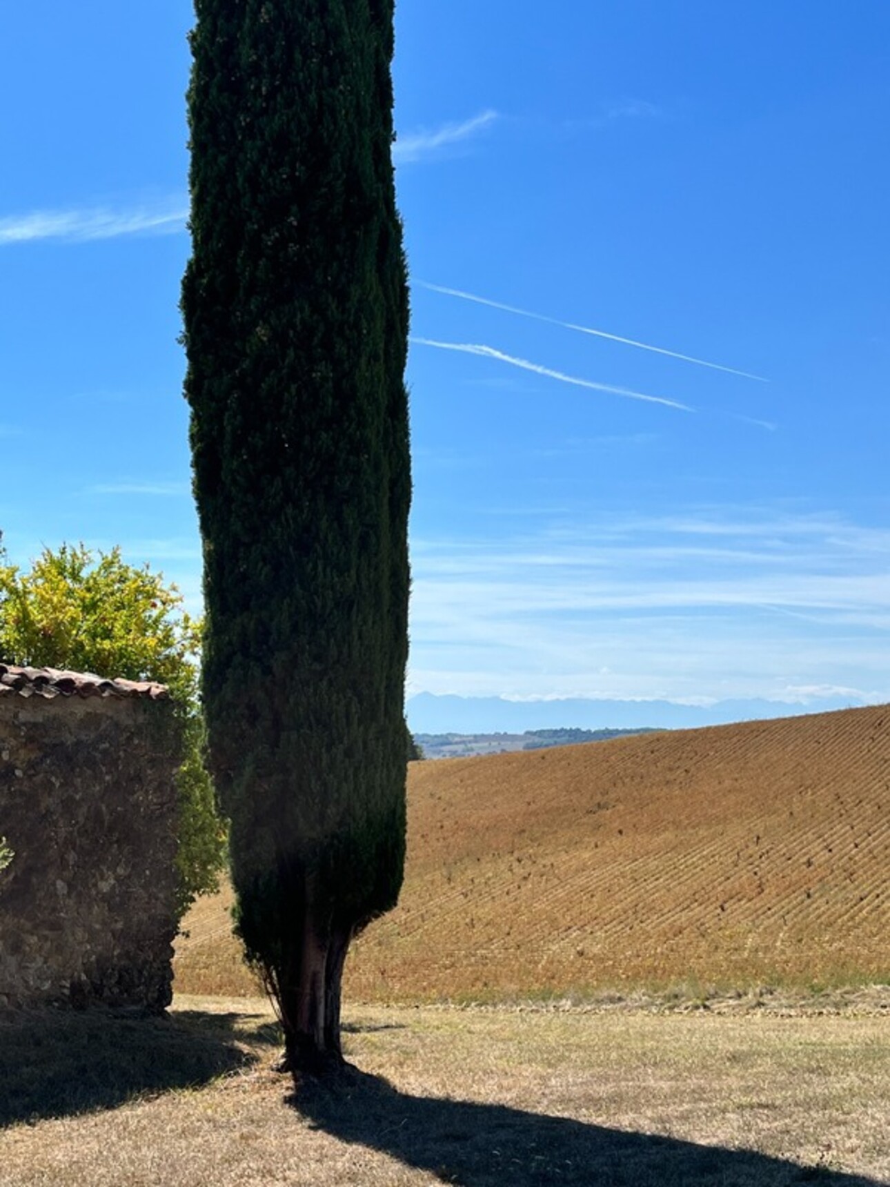 Photos 48 - Tourist - Dpt Gers (32), for sale, near MARCIAC, PYRENEES VIEW, BEAUTIFUL PROPERTY WITH CHARACTER and CHARM XV