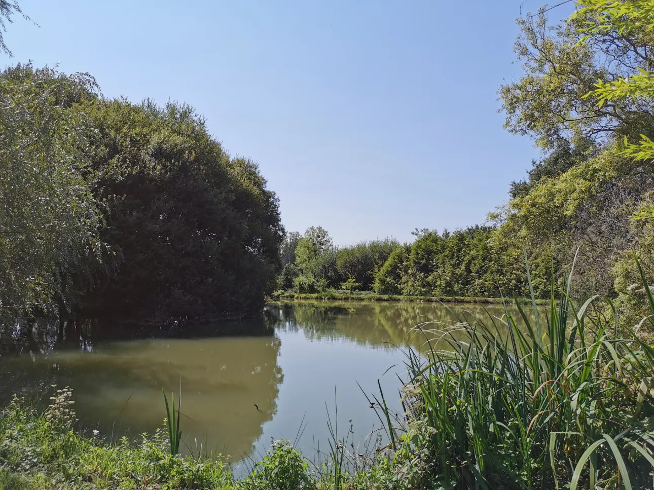 Photos 2 - Land - Pond of approximately 1,000 m² on leisure land of approximately 1.2 ha. located in Broons.