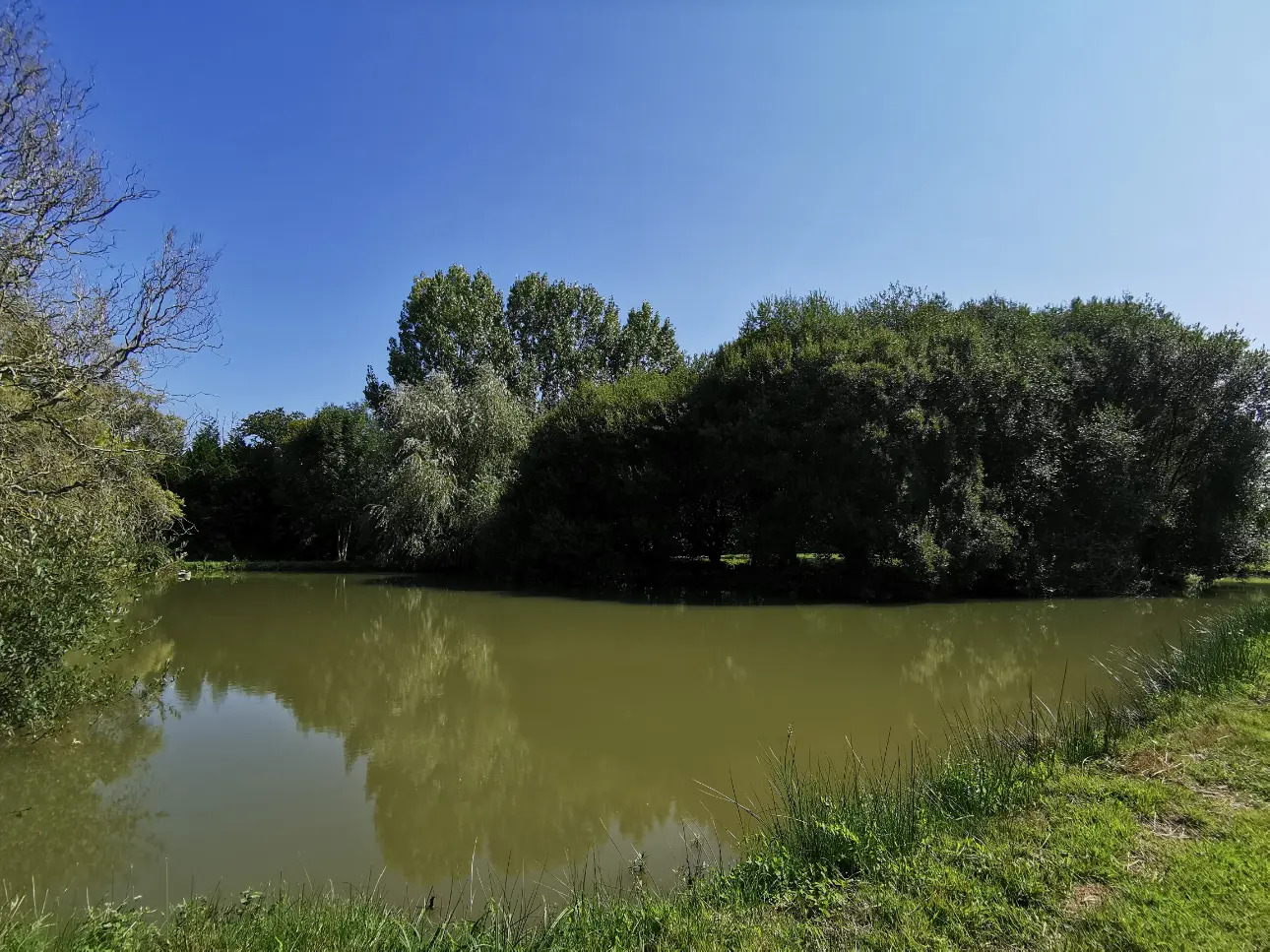 Photos 3 - Land - Pond of approximately 1,000 m² on leisure land of approximately 1.2 ha. located in Broons.