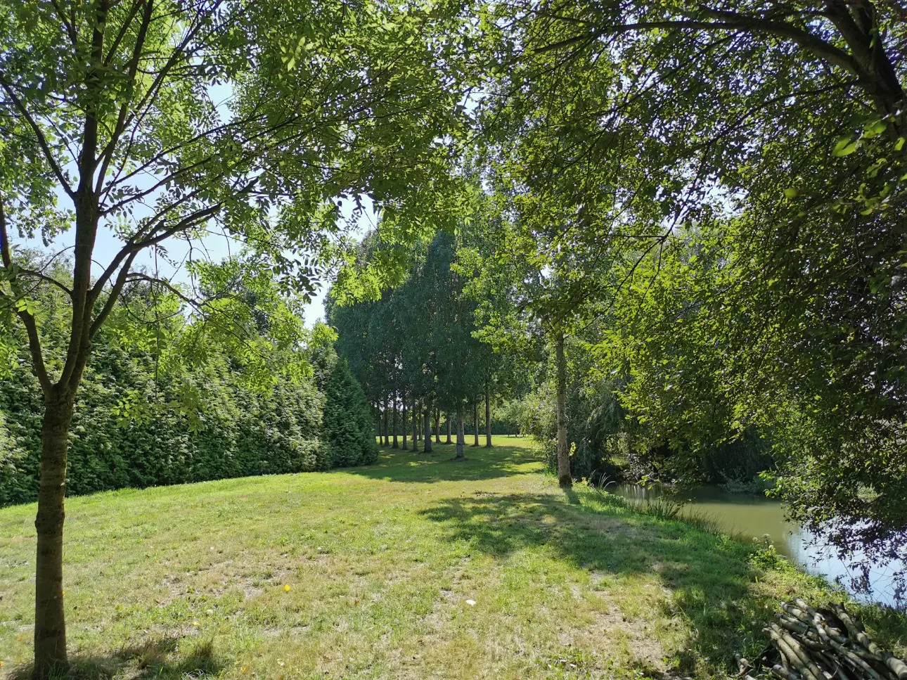 Photos 4 - Foncière - Etang de 1.000 m² environ sur terrain de loisir de 1,2 ha env. situé à Broons.