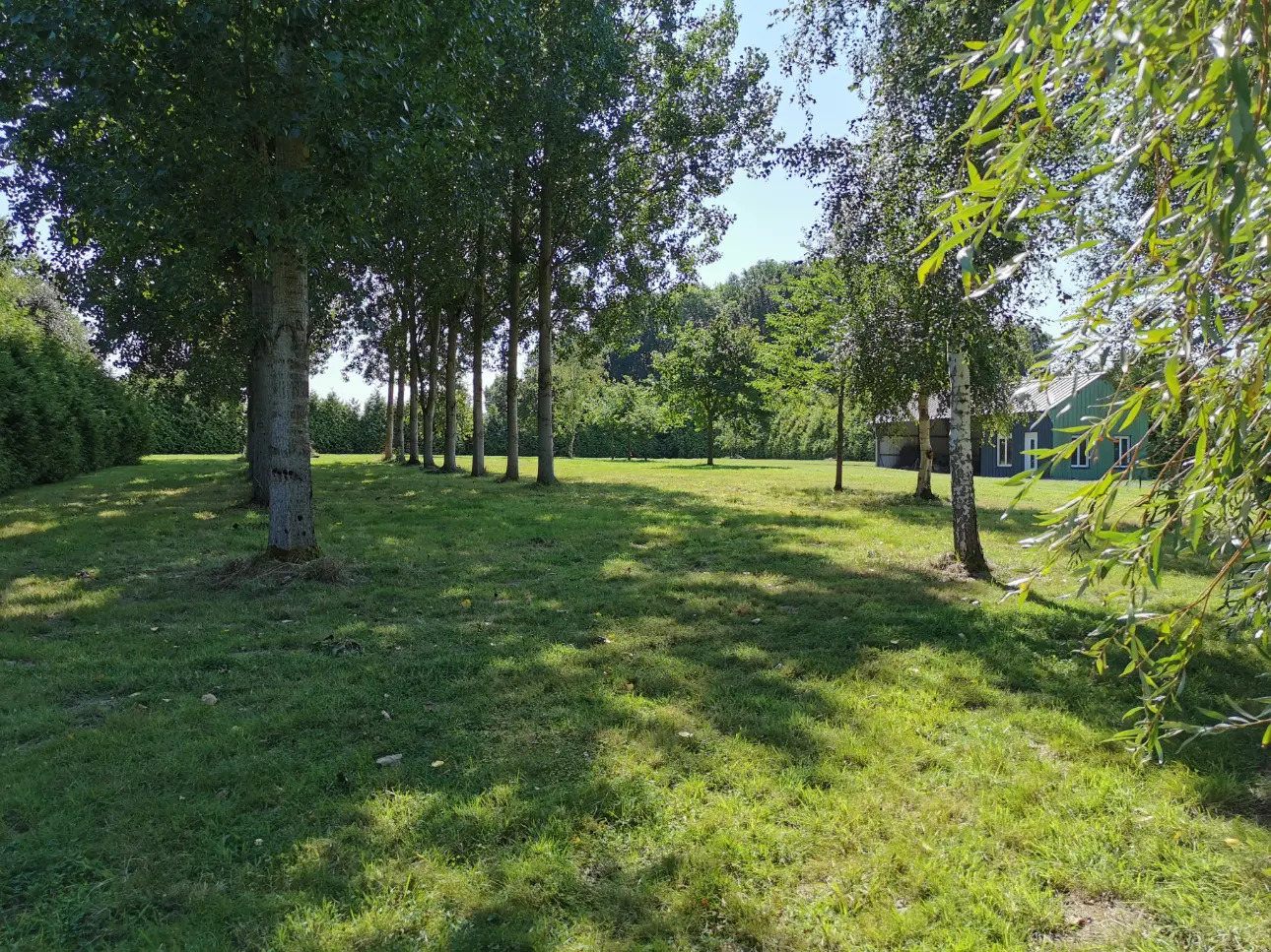 Photos 5 - Land - Pond of approximately 1,000 m² on leisure land of approximately 1.2 ha. located in Broons.