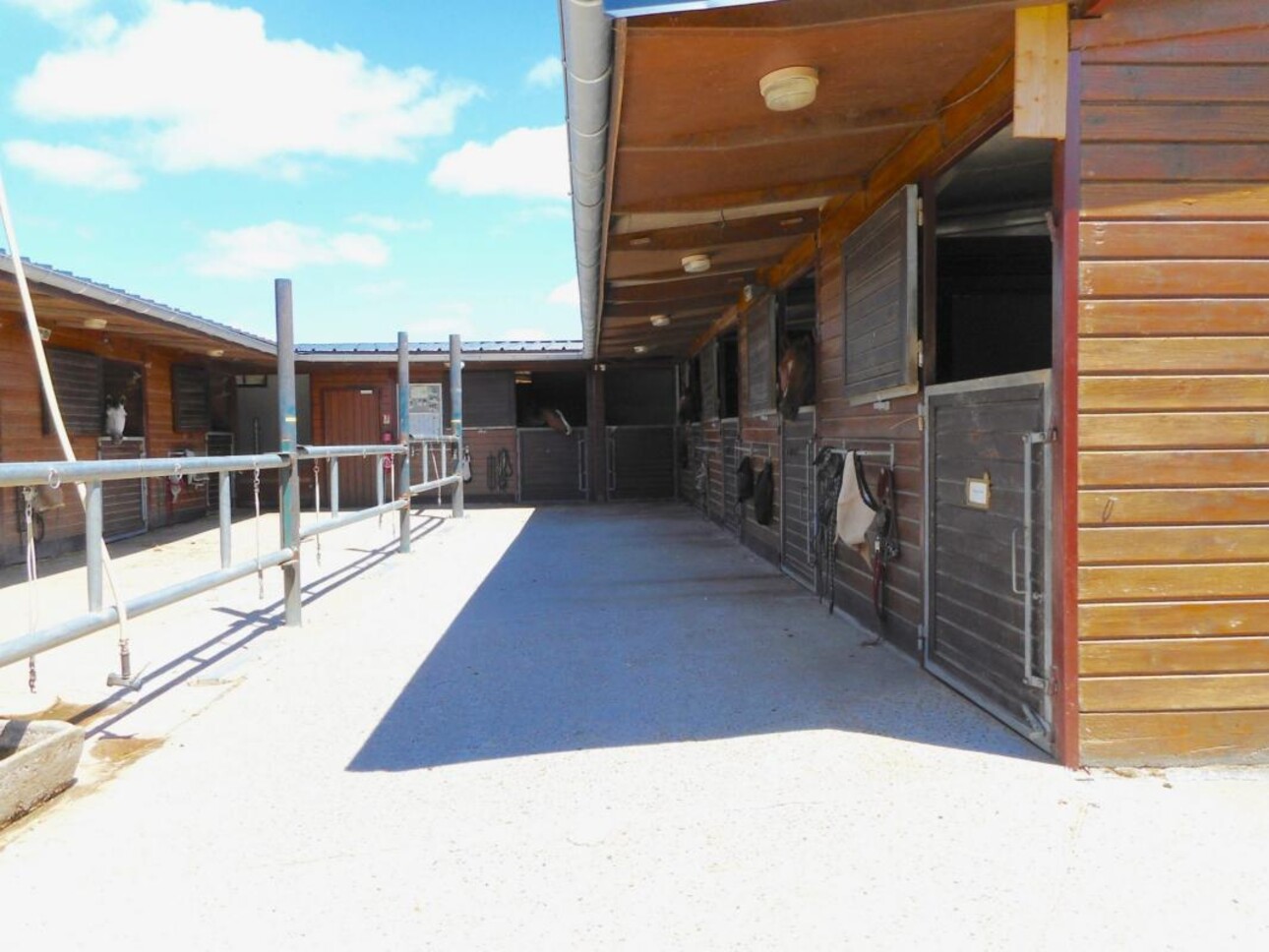 Photos 19 - Equestrian - Propriété de Standing avec écurie sur 16 hectares