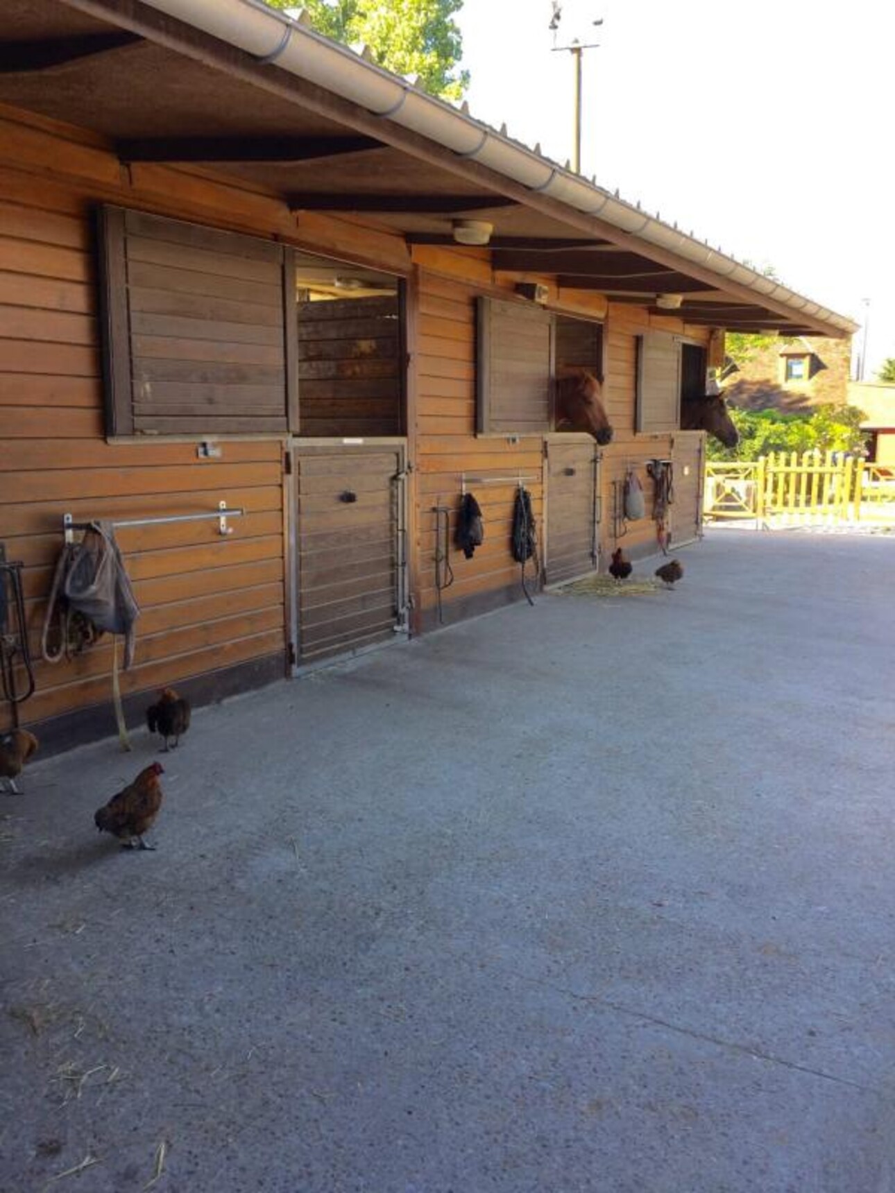 Photos 20 - Equestrian - Propriété de Standing avec écurie sur 16 hectares